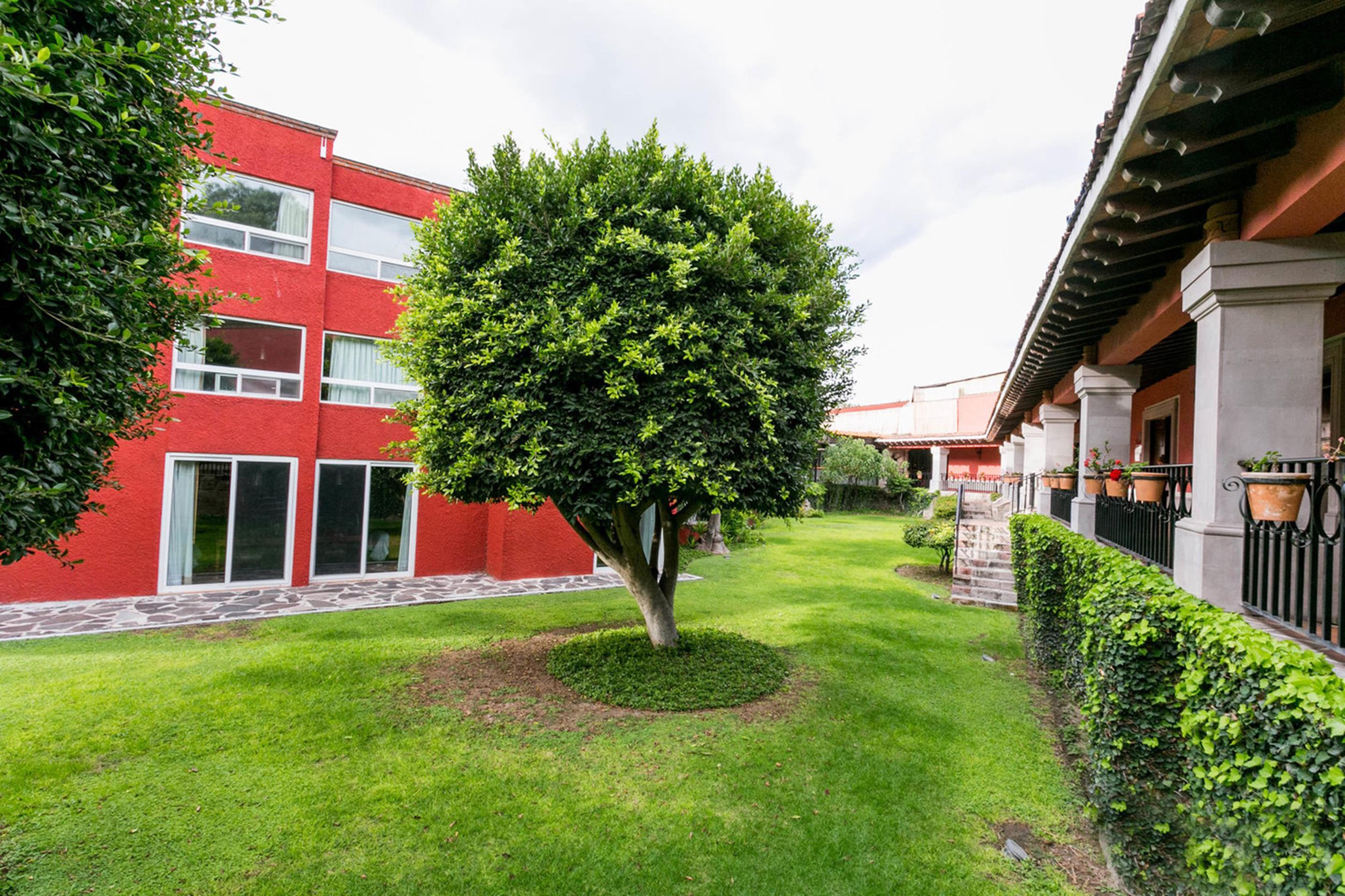 Real De Minas סאן מיגל דה אלנדה מראה חיצוני תמונה Campus de la Universidad Autónoma de La Laguna