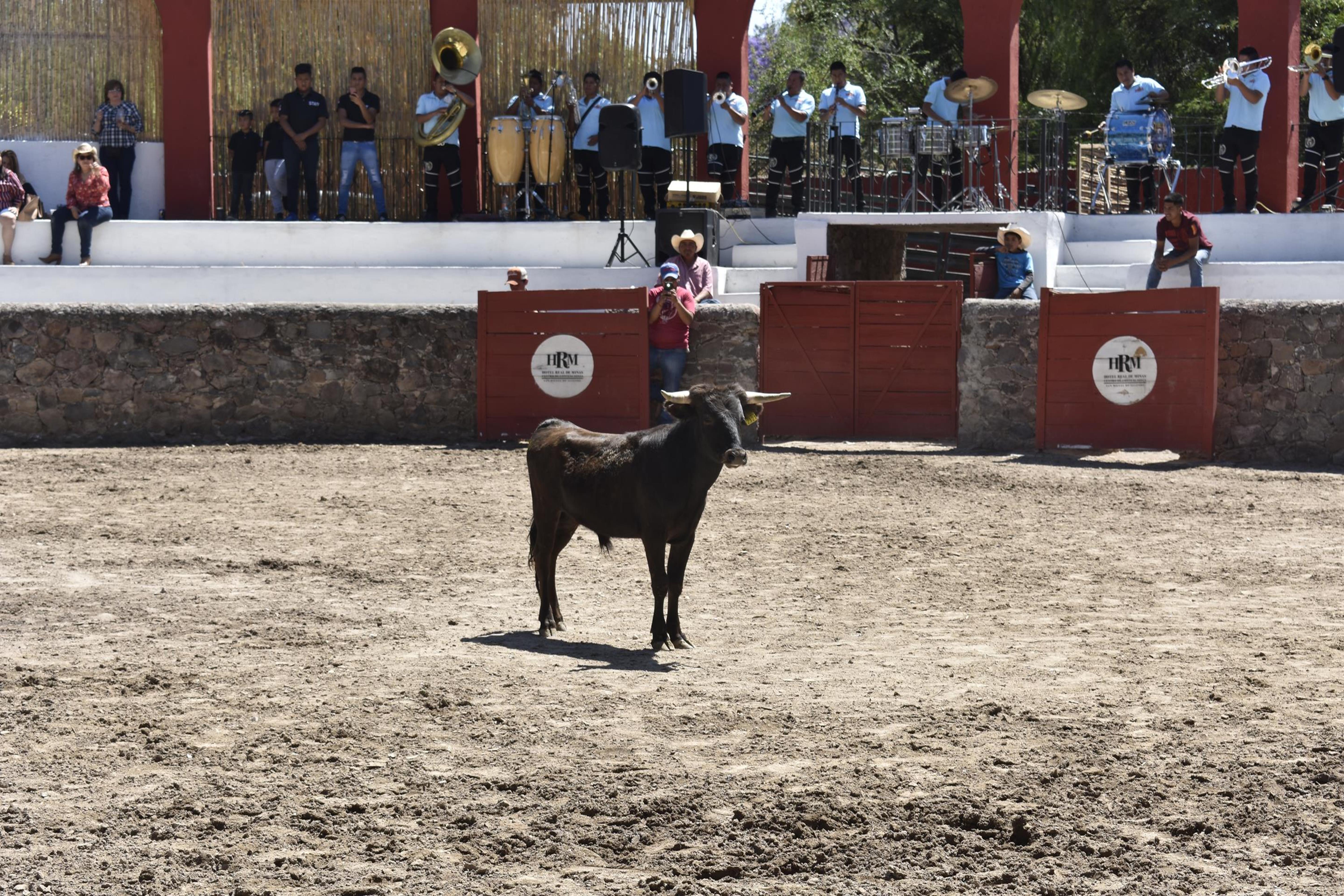 Real De Minas סאן מיגל דה אלנדה מראה חיצוני תמונה A bull in the bullring
