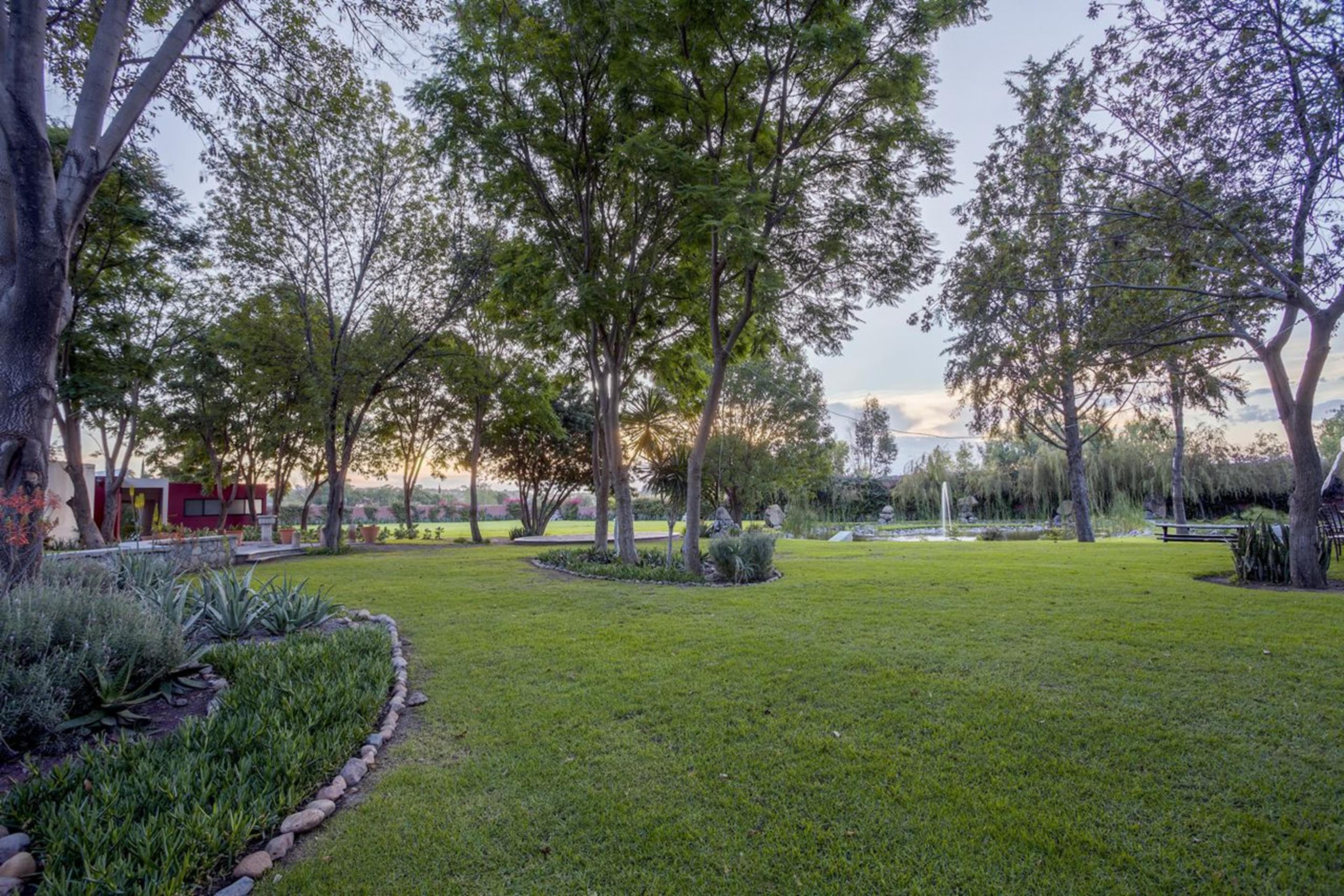 Real De Minas סאן מיגל דה אלנדה מראה חיצוני תמונה The park
