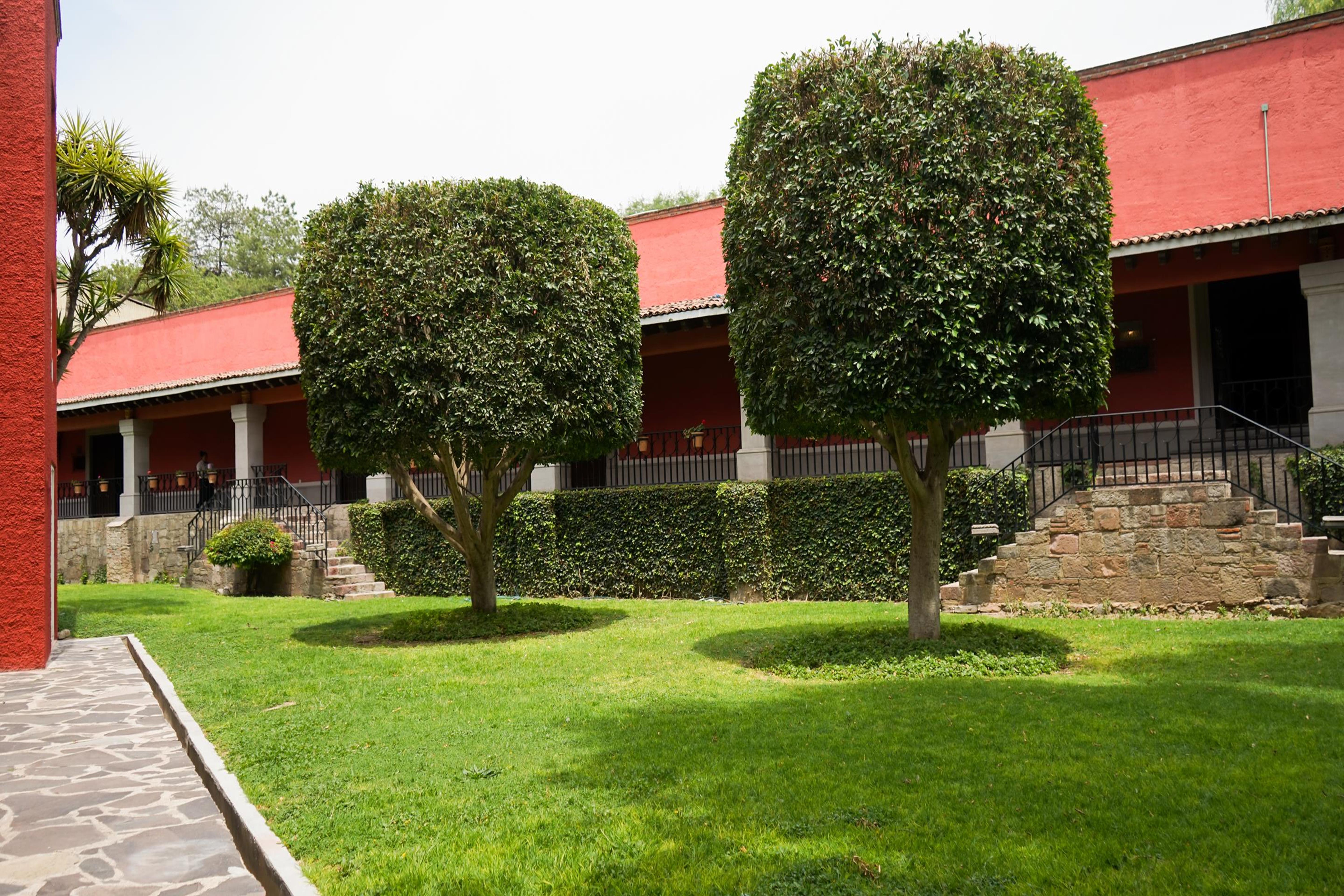 Real De Minas סאן מיגל דה אלנדה מראה חיצוני תמונה Hacienda San José de San Miguel